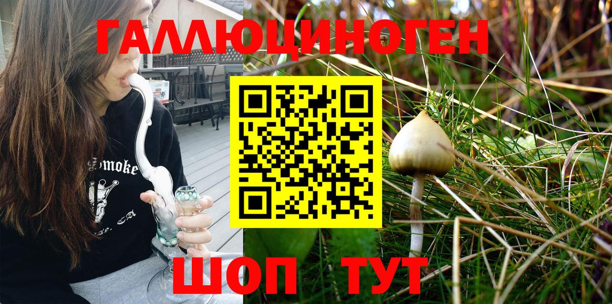 Галлюциногенные грибы MAGIC MUSHROOMS  Псилоцибиновые грибы Psilocybine cubensis  Вход с VPN  Ливны 